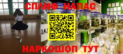 PSILOCYBIN Кингисепп