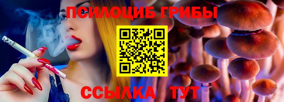 Галлюциногенные грибы Psilocybe  Вход с VPN  Кстово 